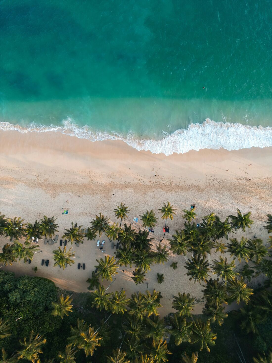 Golden Beaches