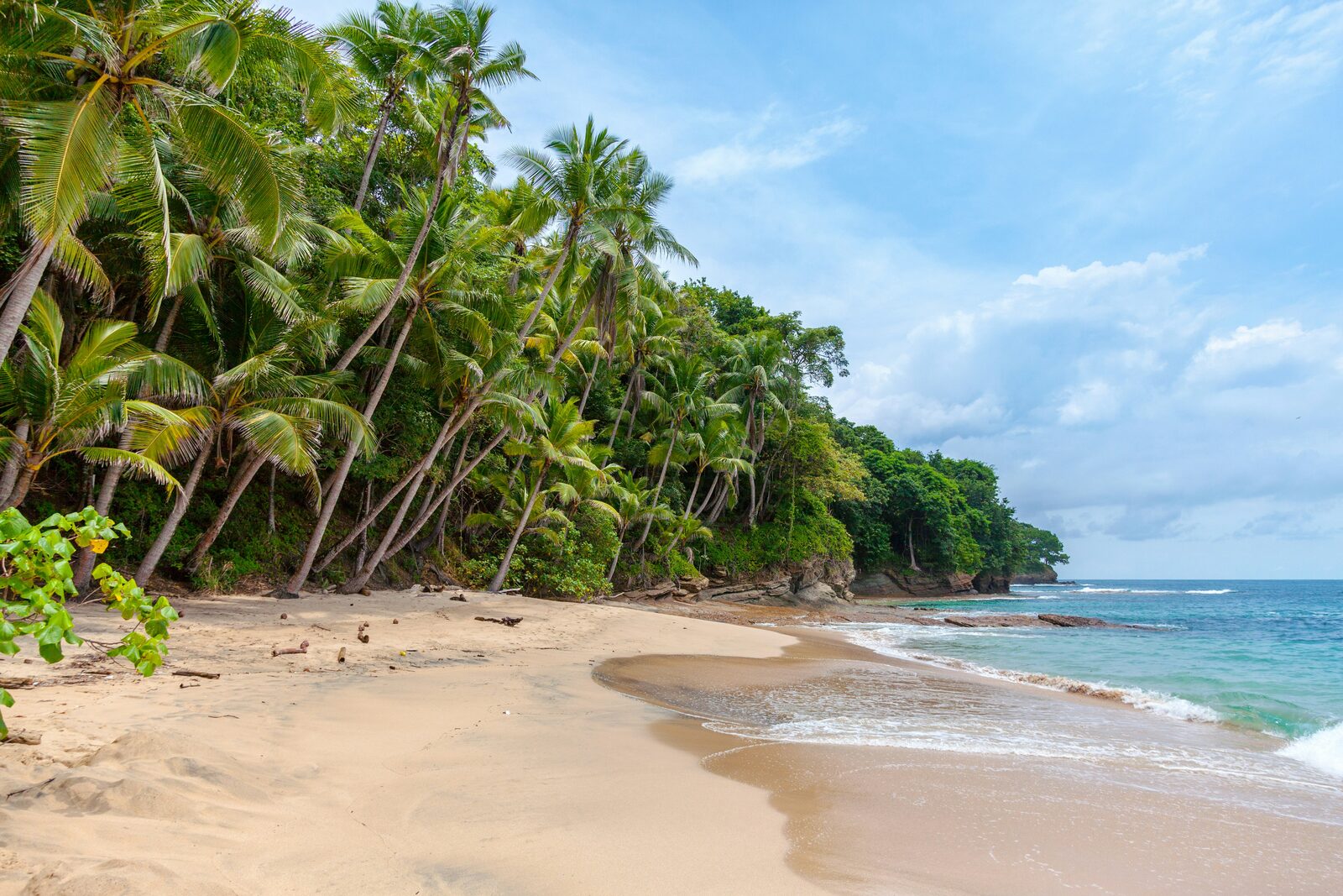 Golden Beaches