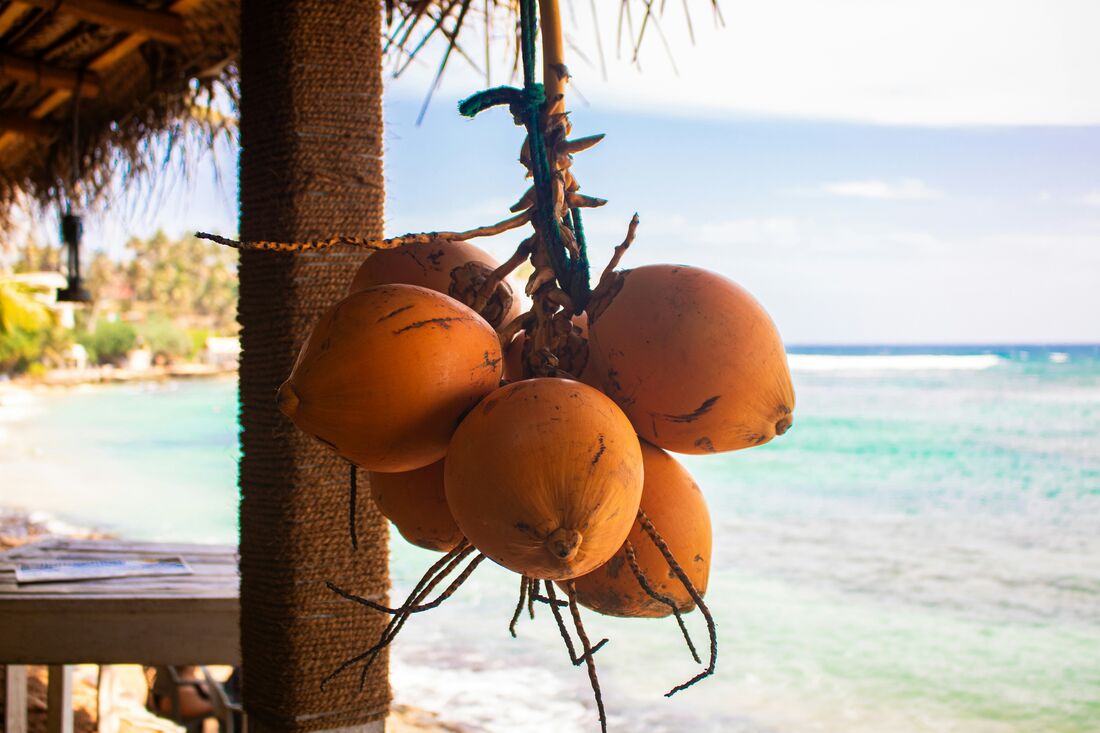 Flavours of Sri Lanka