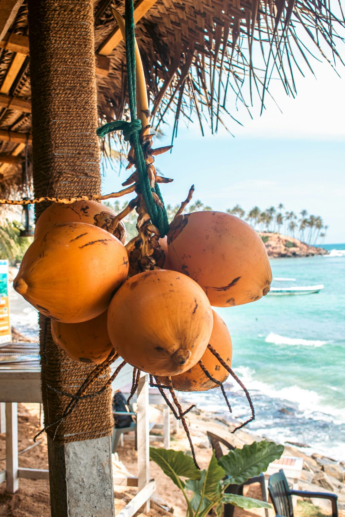 Flavours of Sri Lanka