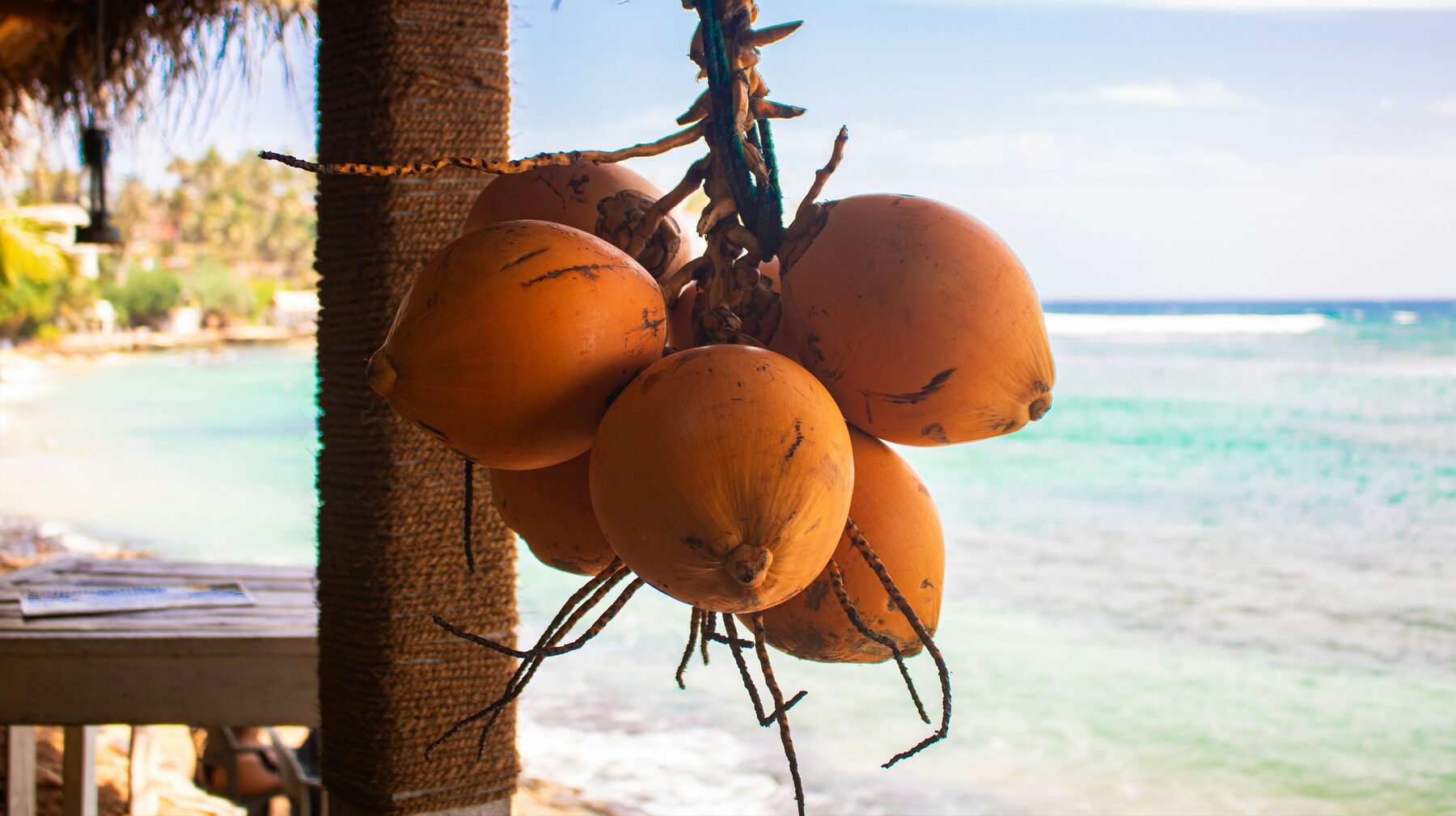 Flavours of Sri Lanka