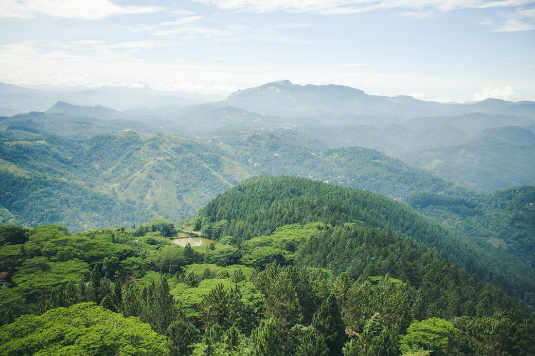 Landscape