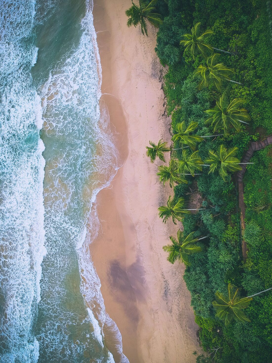 Landscape