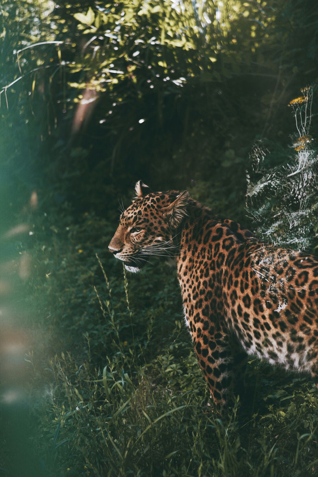 Nature & Wildlife