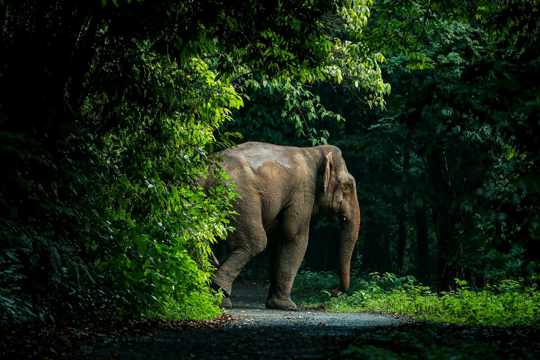 Nature & Wildlife